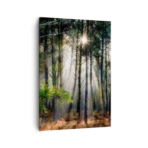 Obraz na płótnie - Promienie słońca przenikające przez gęsty las o poranku - 50x70cm - Leśne uroczysko - Nowoczesna dekoracja ścienna do salonu, kuchni i sypialni ARTTOR