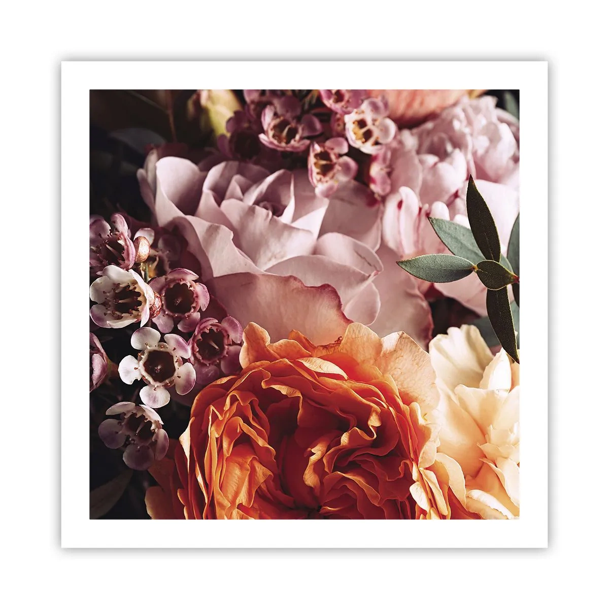 Plakat - Otulone pięknem - 60x60 cm