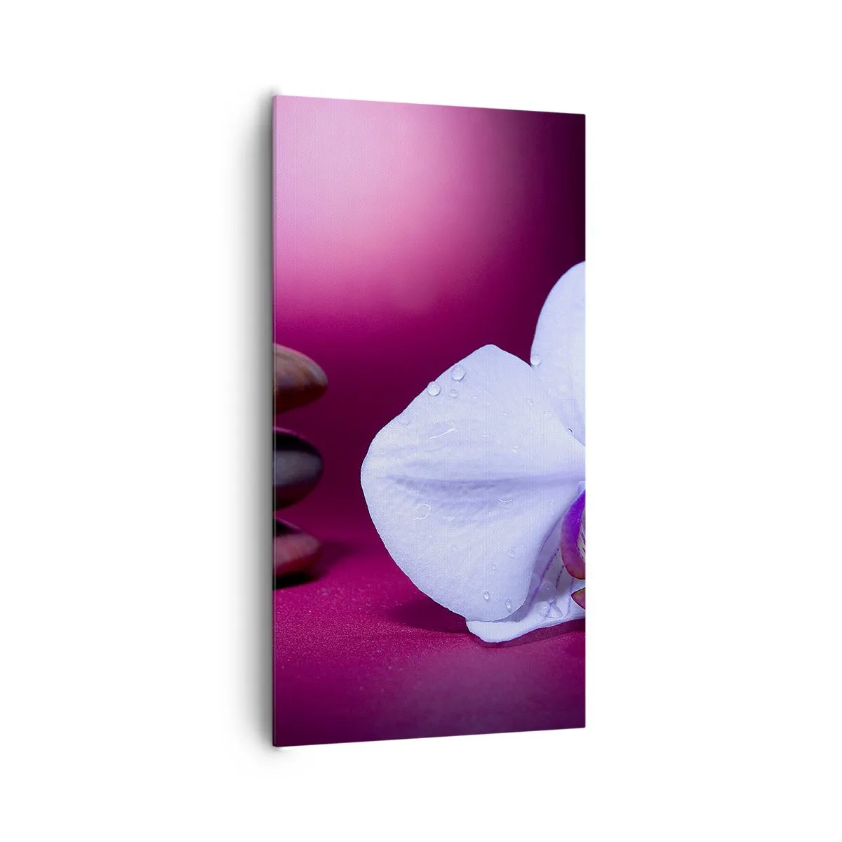 Obraz na płótnie - Studium świeżości w fiolecie - 65x120 cm