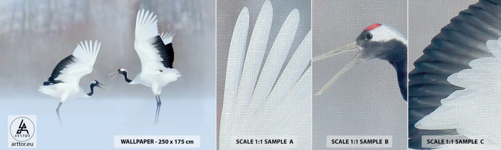 Fototapeta Próbka Premium Canvas - Taniec we mgle - Zima, Ptak, Natura - 100x30 cm