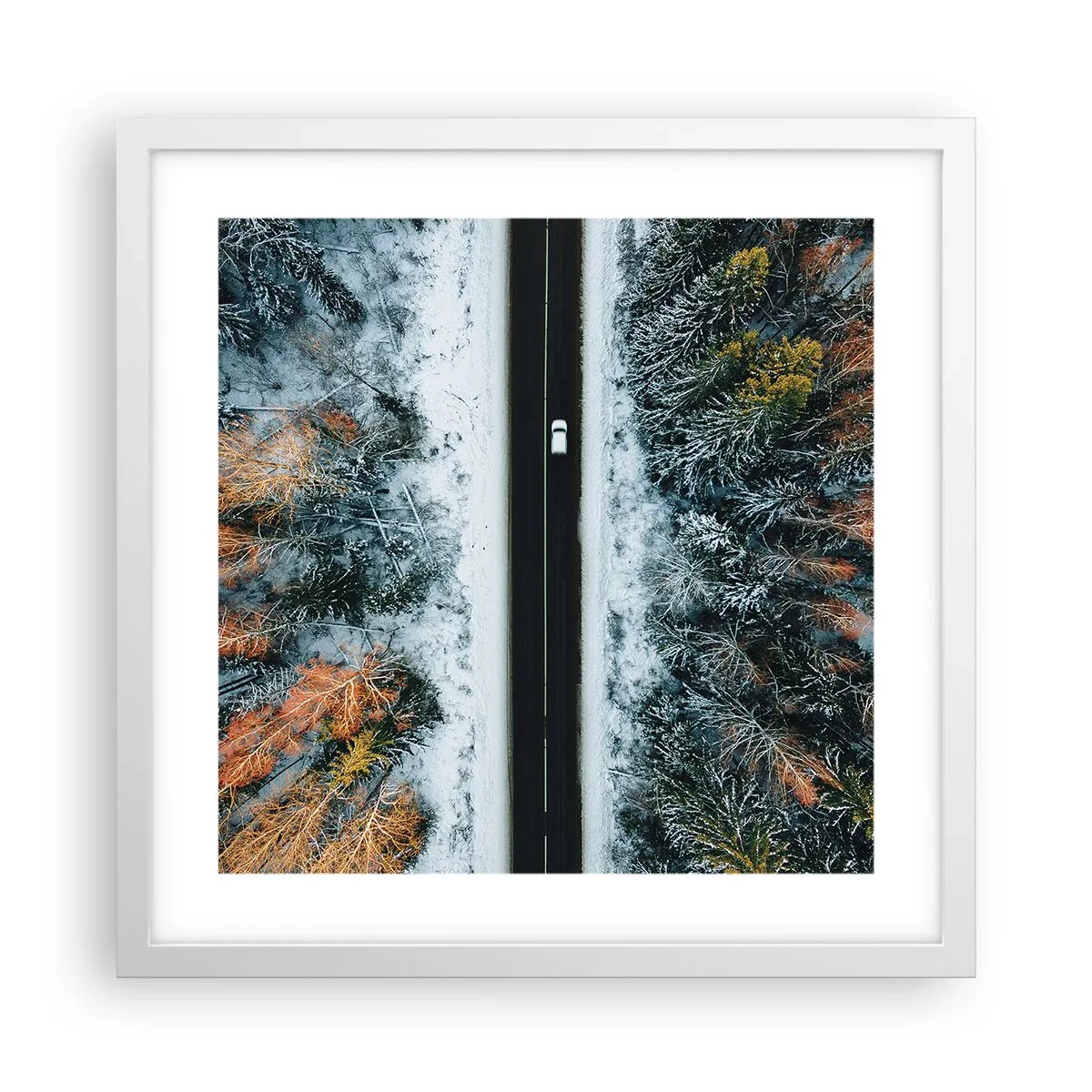 Plakat w białej ramie - Przeciąć zimowy las - 40x40 cm