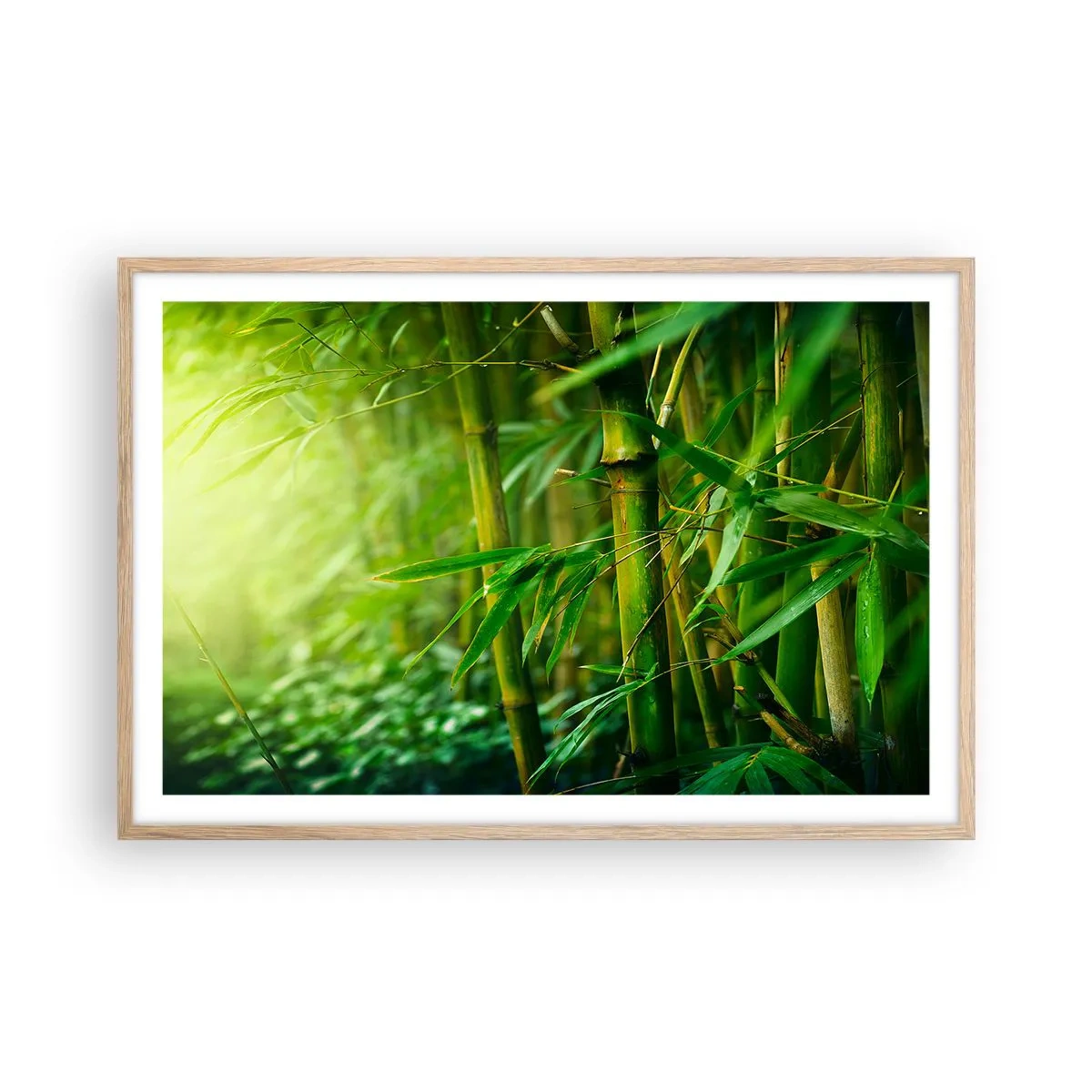 Plakat w ramie jasny dąb - Poznać zieleń samą w sobie - 91x61 cm