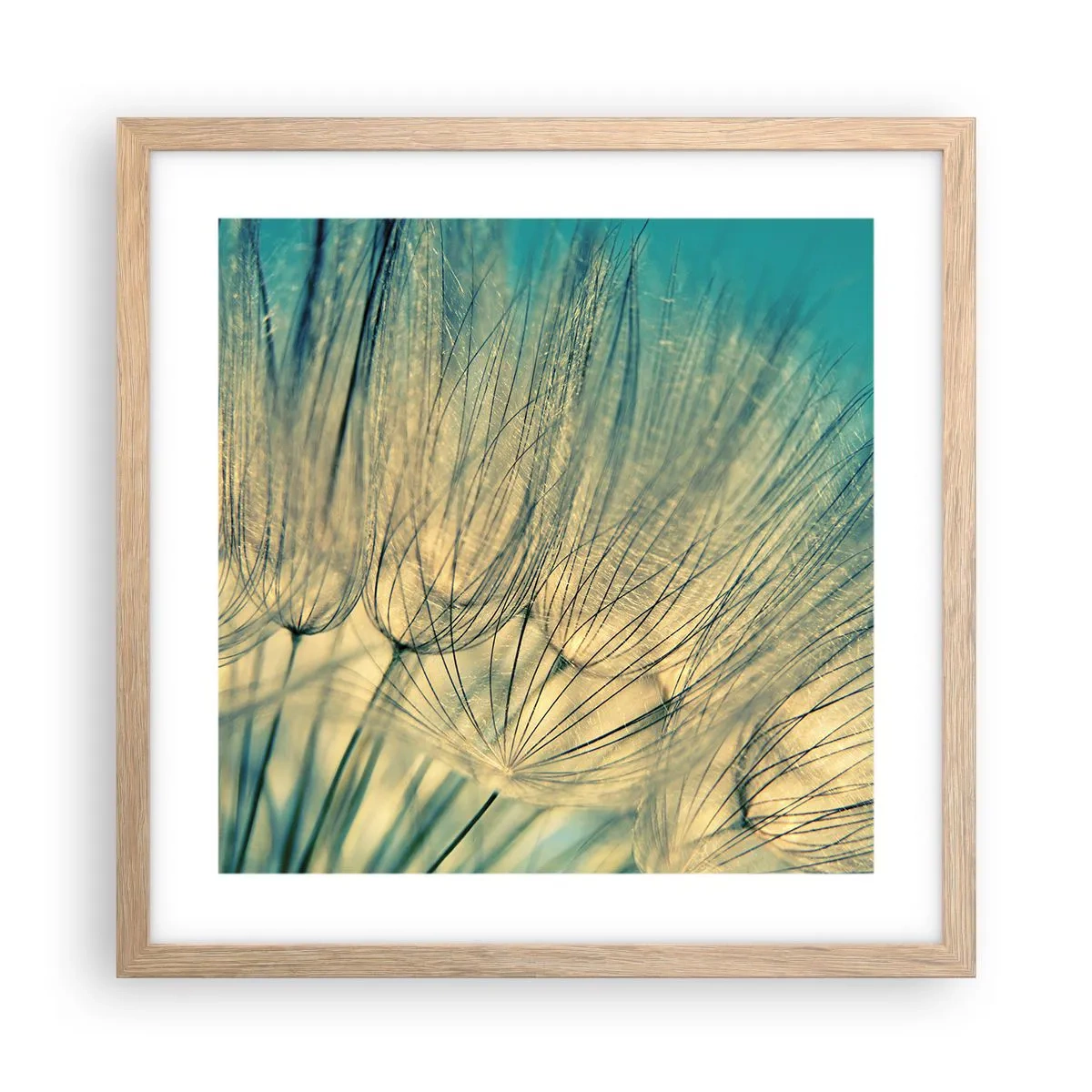 Plakat w ramie jasny dąb - W oczekiwaniu na wiatr - 40x40 cm