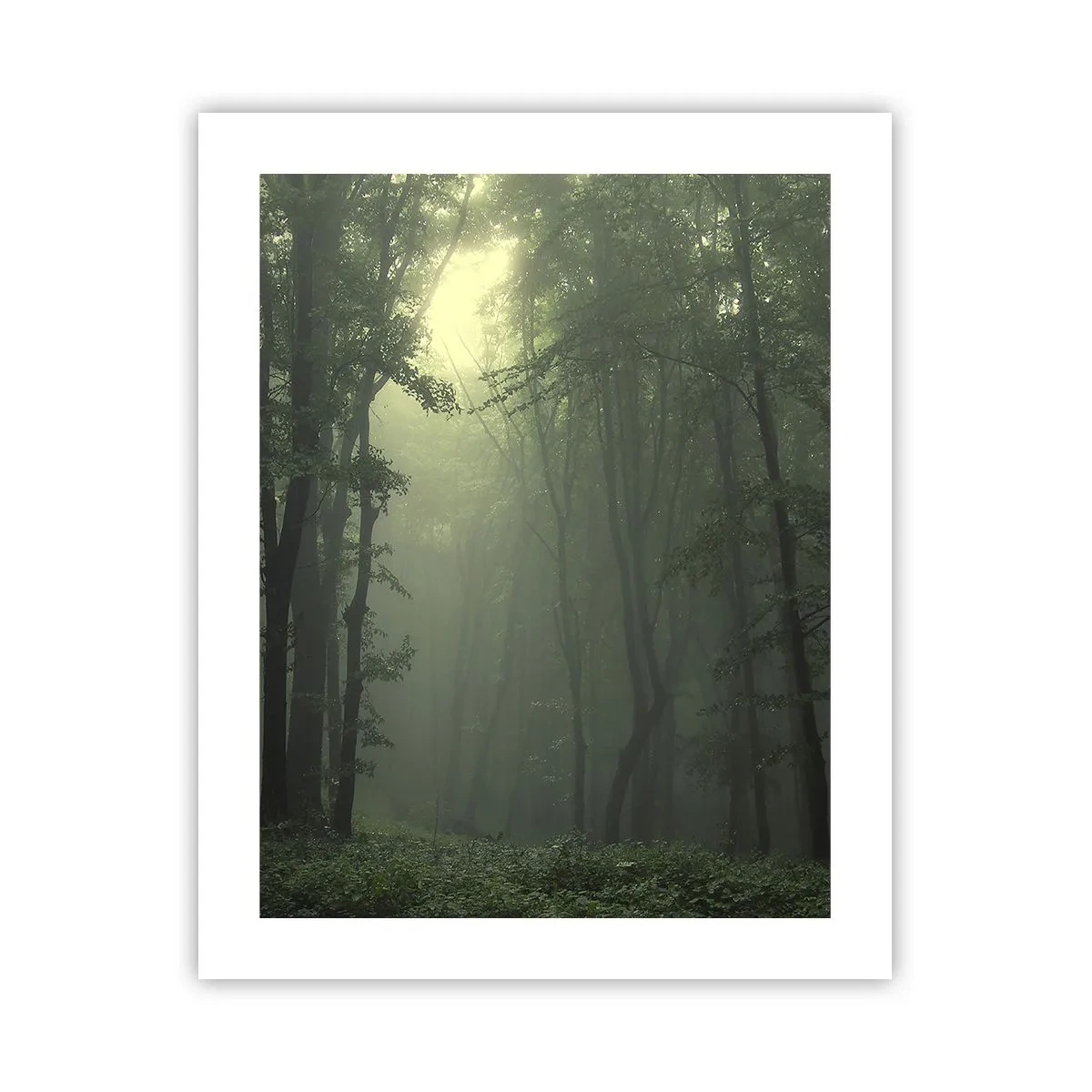 Plakat - Zanim się obudzi - 40x50 cm