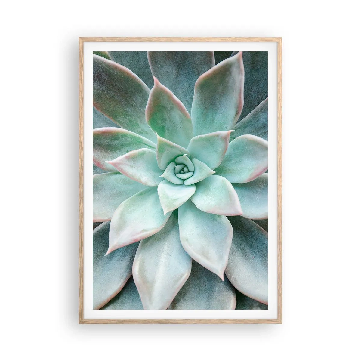 Plakat w ramie jasny dąb - Serce pustyni - 70x100 cm