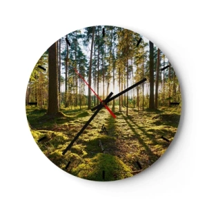 Zegar ścienny - Słoneczne światło przebijające przez wysokie drzewa w lesie - 30x30cm - …Za siedmioma lasami - Nowoczesna dekoracja ścienna do salonu, kuchni i sypialni ARTTOR