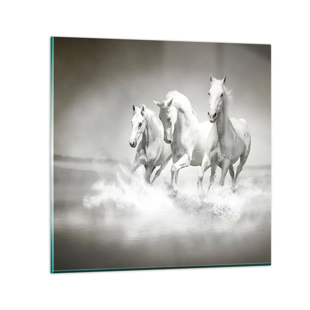 Obraz na szkle - Białe szaleństwo - 70x70 cm