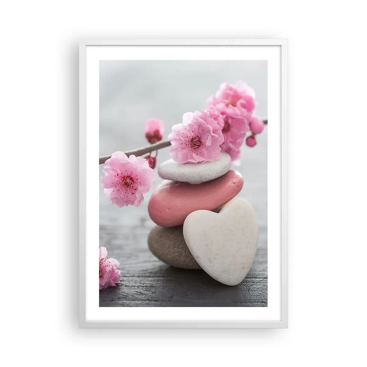 Plakat w białej ramie - Błogość z kwiatem wiśni - 50x70 cm