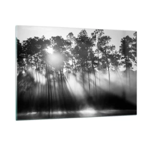 Obraz na szkle - Czarno-białe drzewa w lesie z promieniami słońca w mgiełce - 120x80cm - Niepowstrzymane słońce - Nowoczesna dekoracja ścienna do salonu, kuchni i sypialni ARTTOR