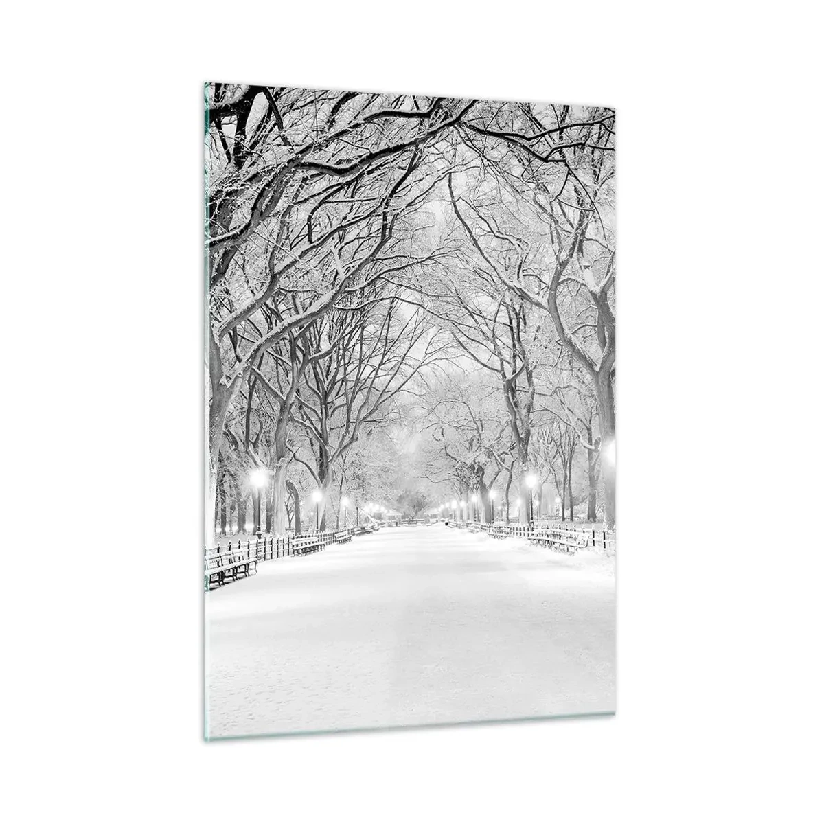 Obraz na szkle - Zimowa aleja drzew w parku z oświetleniem i śniegiem - 50x70cm - Cztery pory roku – zima - Nowoczesna dekoracja ścienna do salonu, kuchni i sypialni ARTTOR