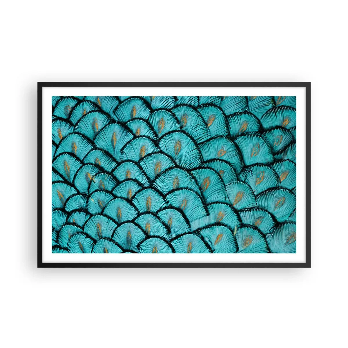 Plakat w czarnej ramie - Wielka gala piór - 91x61 cm