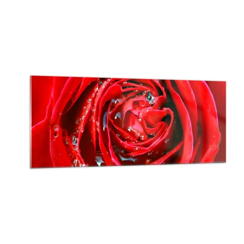 Obraz na szkle - W kroplach rosy - 100x40 cm