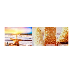Fototapeta Próbka Premium Sand - Morski podarunek - Rozgwiazda, Plaża, Ocean - 100x30 cm