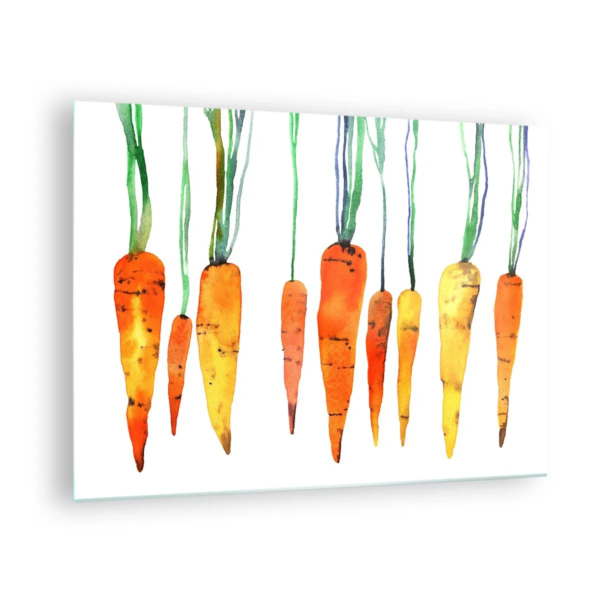 Obraz na szkle - Akwarelowe marchewki w różnych odcieniach pomarańczu z zielonymi łodygami - 70x50cm - Uroda zwyczajności - Nowoczesna dekoracja ścienna do salonu i sypialni ARTTOR
