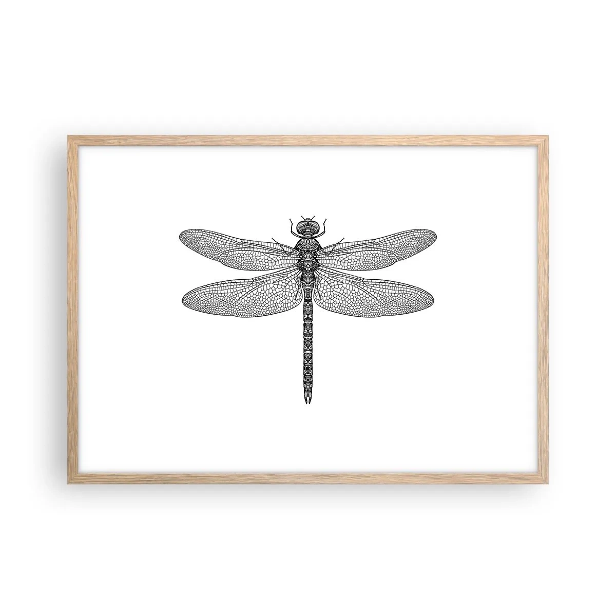 Plakat w ramie jasny dąb - Precyzja natury - 70x50 cm