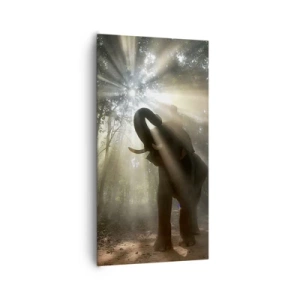Obraz na płótnie - Pod szczęśliwą gwiazdą - 65x120 cm