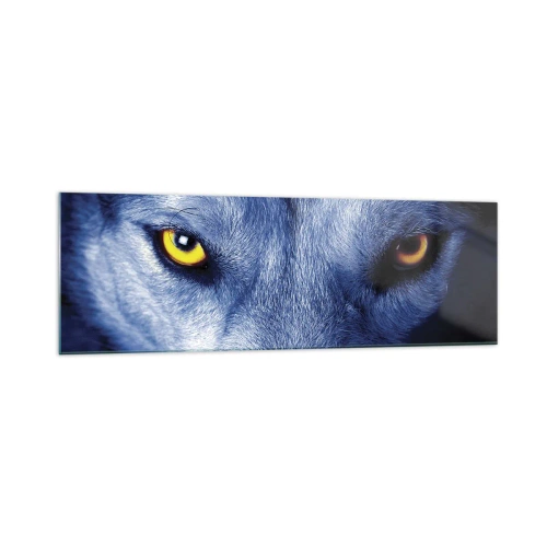 Obraz na szkle - Intensywne spojrzenie wilka w zbliżeniu na ciemnym tle - 160x50cm - Hipnotyzujące spojrzenie - Nowoczesna dekoracja ścienna do salonu i sypialni ARTTOR