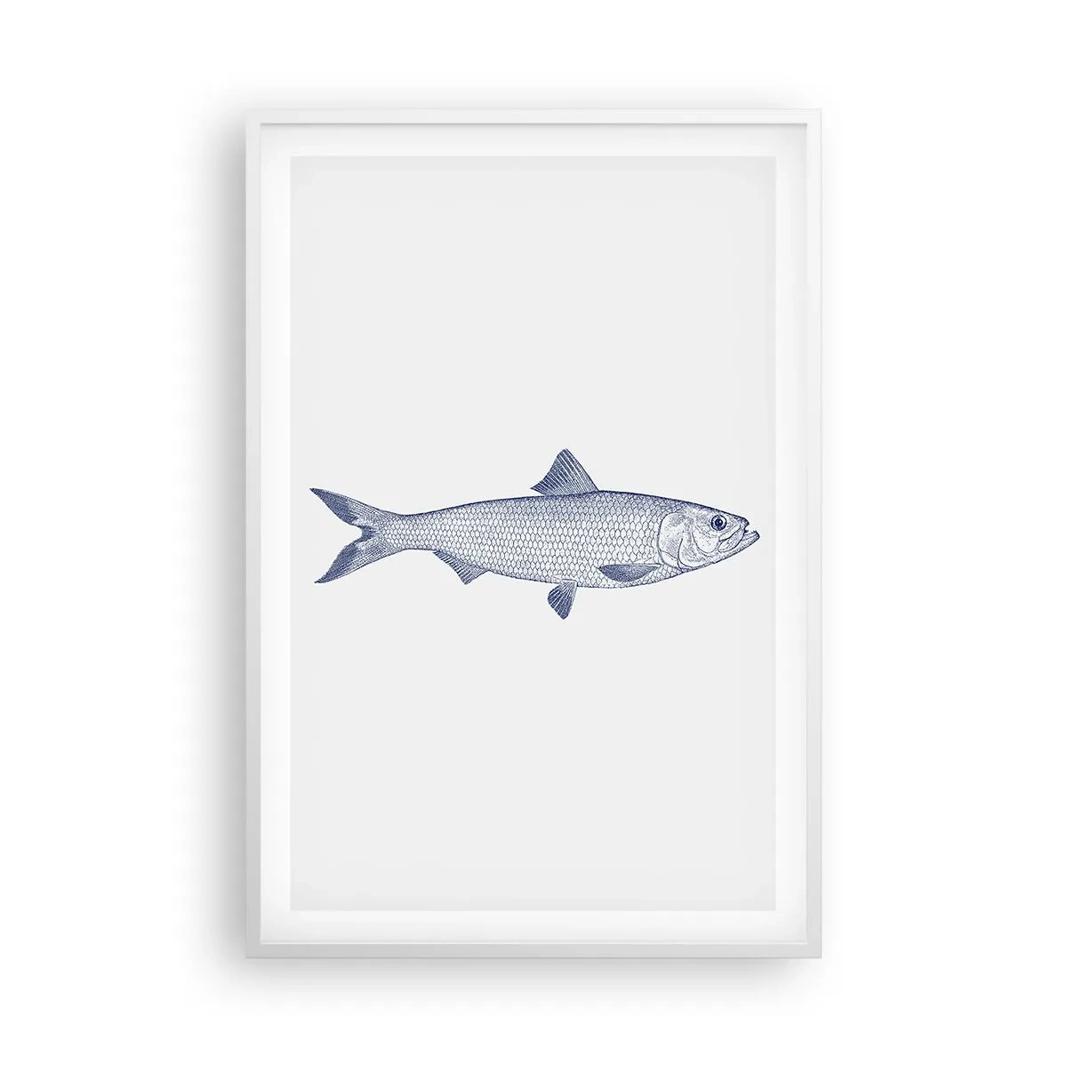 Plakat w białej ramie - Pozdrowienia z północnych mórz - 61x91 cm