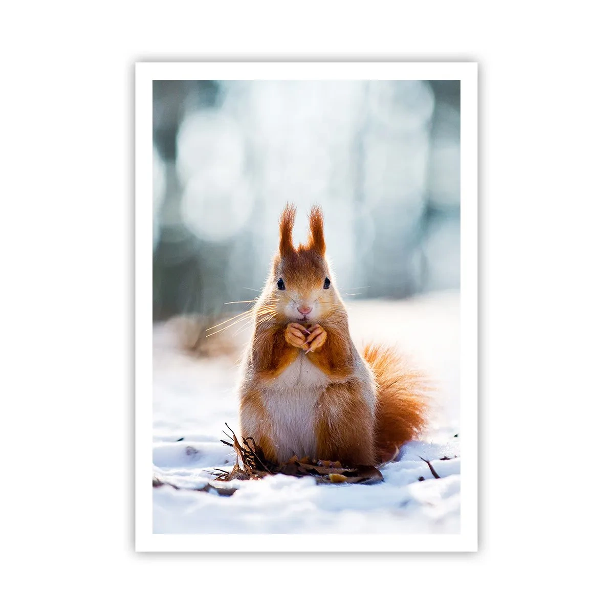 Plakat - I co tak patrzysz? - 70x100 cm