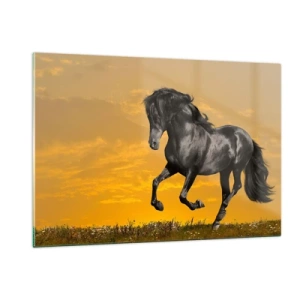 Obraz na szkle - Czarny koń galopujący na tle zachodzącego słońca - 120x80cm - Piękny, wolny i dziki - Nowoczesna dekoracja ścienna do salonu, kuchni i sypialni ARTTOR