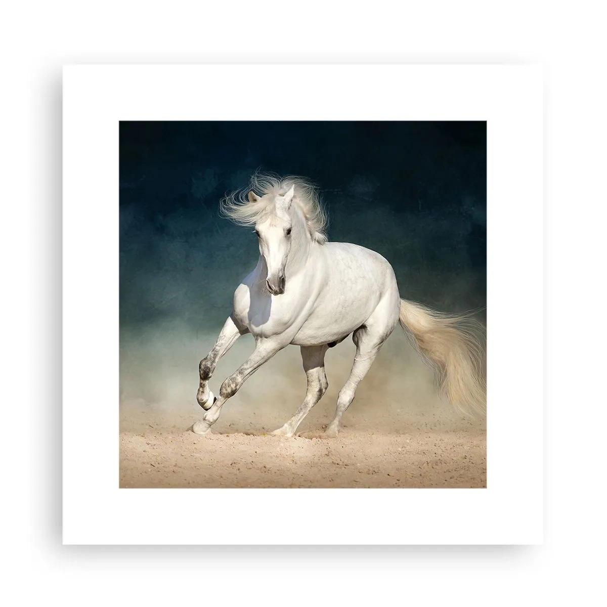 Plakat - Wolność w stanie czystym - 30x30 cm