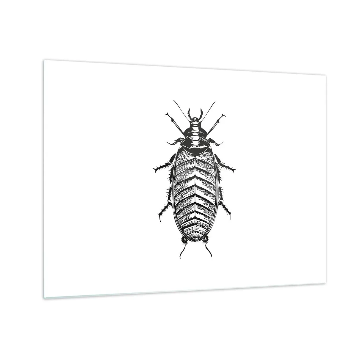 Obraz na szkle - Czarno-biała ilustracja owada na białym tle - 70x50cm - Co za okaz! - Nowoczesna dekoracja ścienna do salonu i sypialni ARTTOR