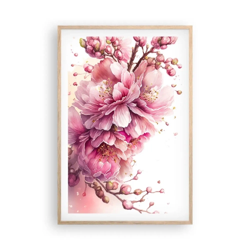 Plakat w ramie jasny dąb - Kwiat kwitnącej wiśni - 61x91 cm