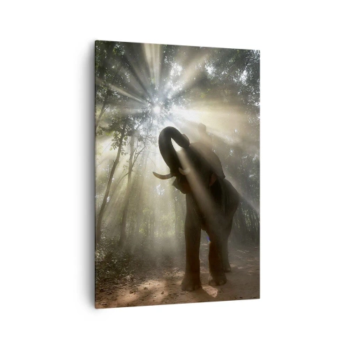 Obraz na płótnie - Słoń w lesie otoczony promieniami światła w porannej mgle - 70x100cm - Pod szczęśliwą gwiazdą - Nowoczesna dekoracja ścienna do salonu i sypialni ARTTOR