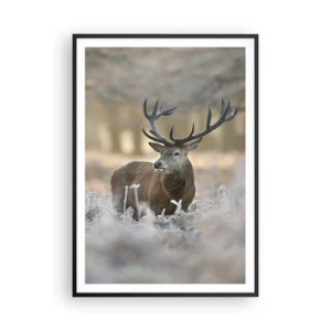 Plakat w czarnej ramie - Rześki poranek - 70x100 cm