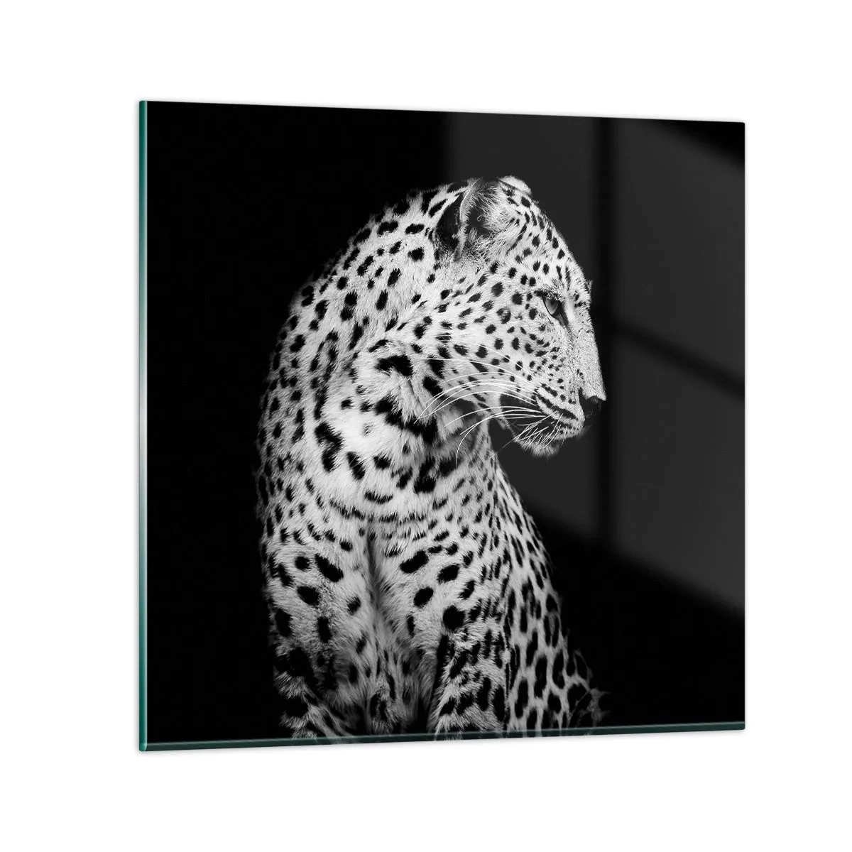 Obraz na szkle - Prawy profil doskonały! - 70x70 cm