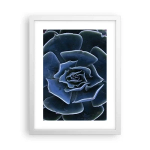 Plakat w białej ramie - Kwiat pustyni - 30x40 cm