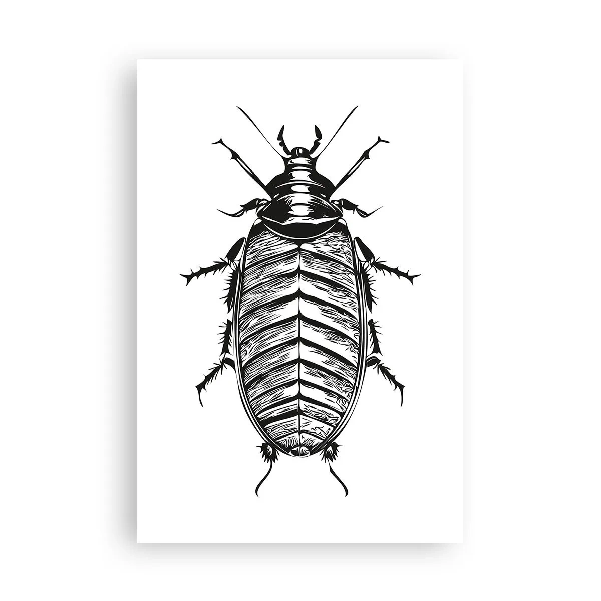 Plakat - Co za okaz! - 61x91 cm