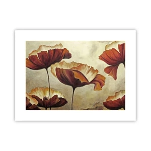 Plakat - Łąki łan - 40x30 cm
