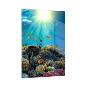 Obraz na szkle - Kolorowa rafa koralowa oświetlona promieniami słońca - 50x70cm - Podwodne skarby - Nowoczesna dekoracja ścienna do salonu, kuchni i sypialni ARTTOR