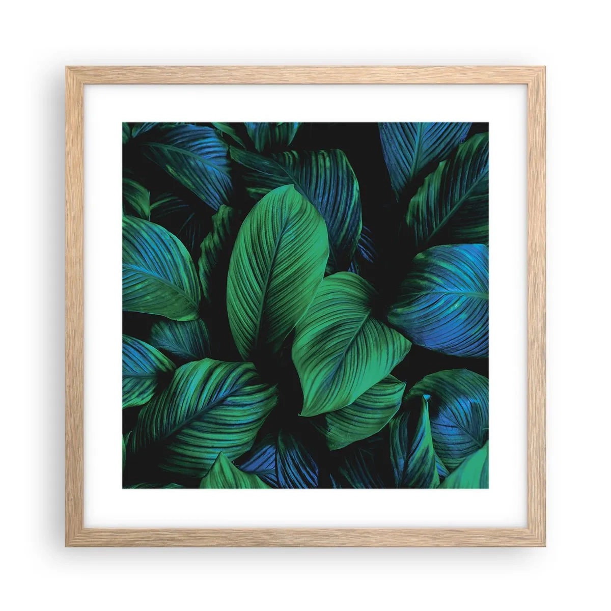 Plakat w ramie jasny dąb - W zielonym tłumie - 40x40 cm