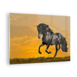Obraz na szkle - Czarny koń galopujący na tle zachodzącego słońca - 70x50cm - Piękny, wolny i dziki - Nowoczesna dekoracja ścienna do salonu i sypialni ARTTOR