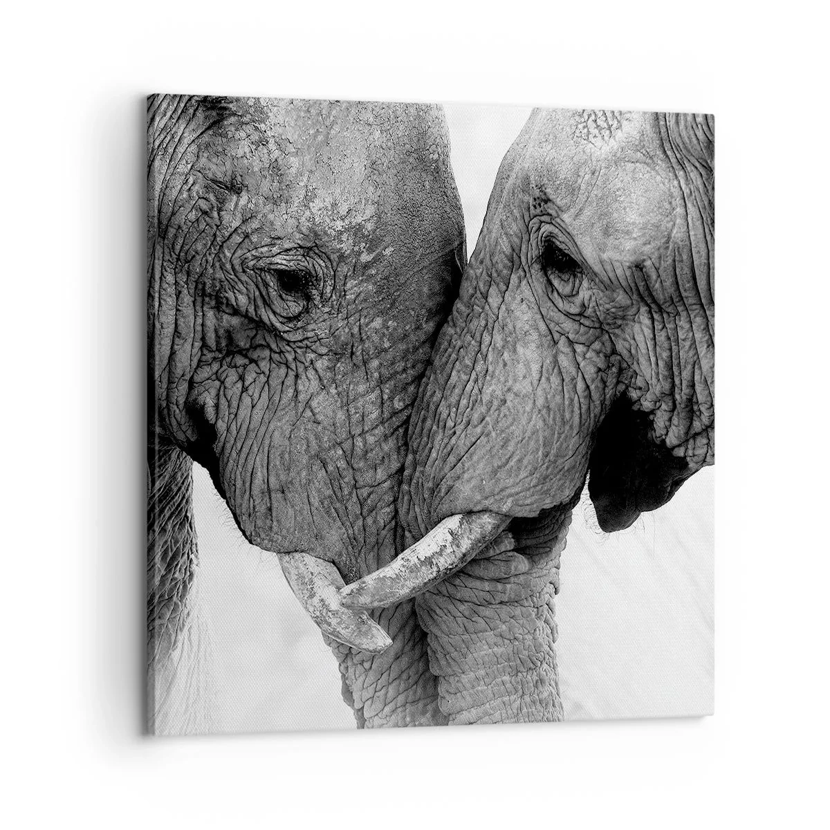 Obraz na płótnie - Serdeczne wyznanie - 60x60 cm