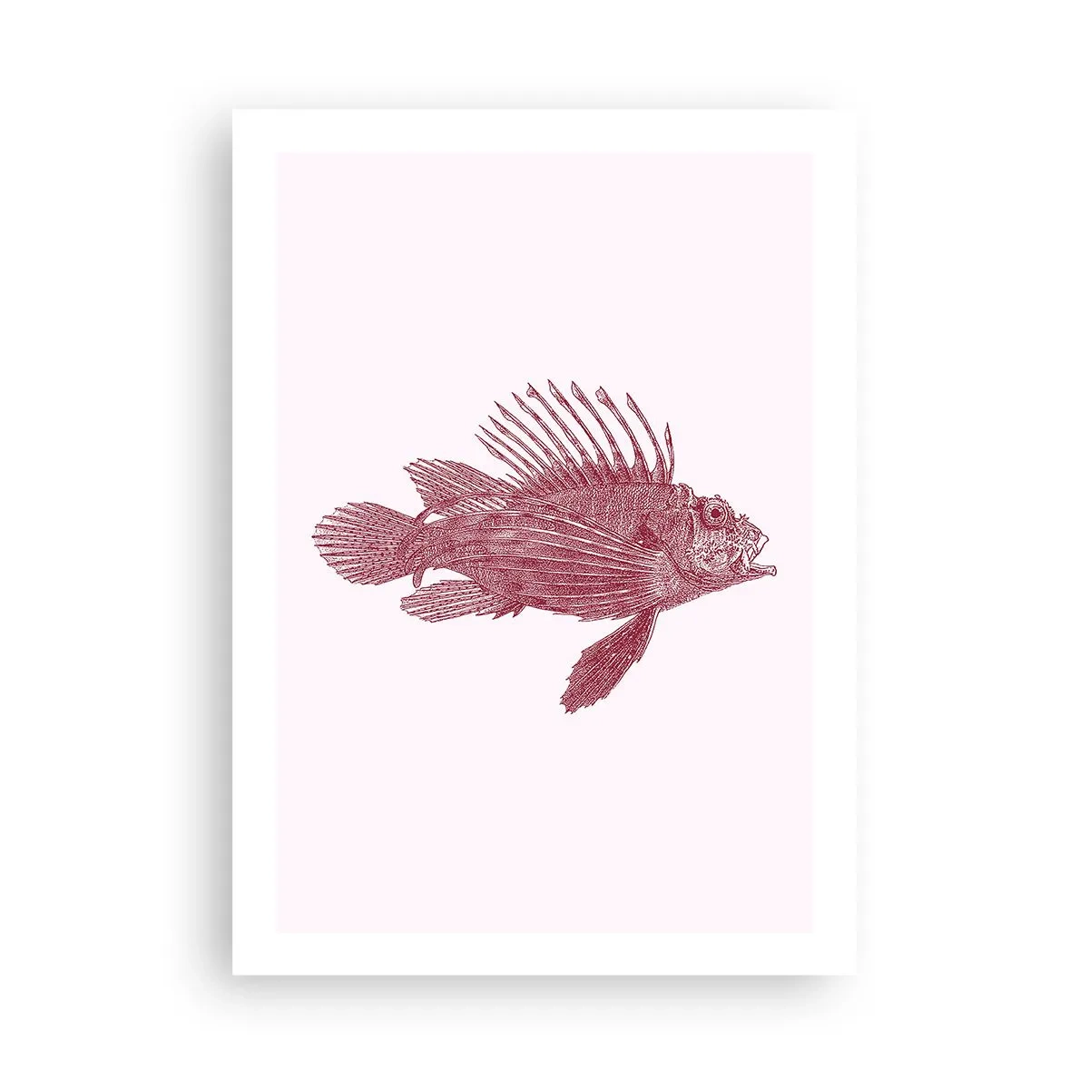 Plakat - Rysunek ryby w stylu vintage na jasnym tle - 50x70cm - Mieszkanka egzotycznych wód - Nowoczesna dekoracja ścienna do salonu, kuchni i sypialni ARTTOR