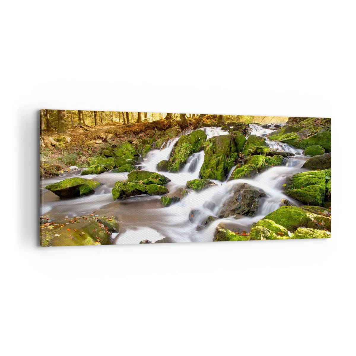 Obraz na płótnie - Bystro przez jesienny las - 100x40 cm