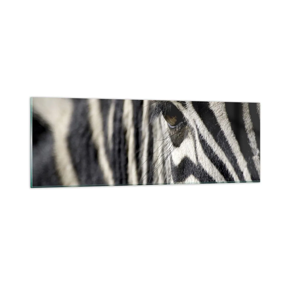 Obraz na szkle - Portret w paski - 90x30 cm