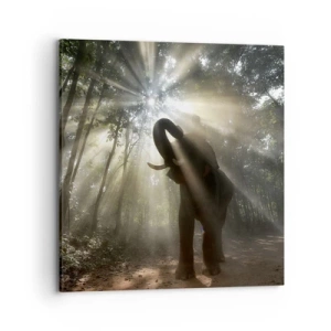 Obraz na płótnie - Pod szczęśliwą gwiazdą - 70x70 cm