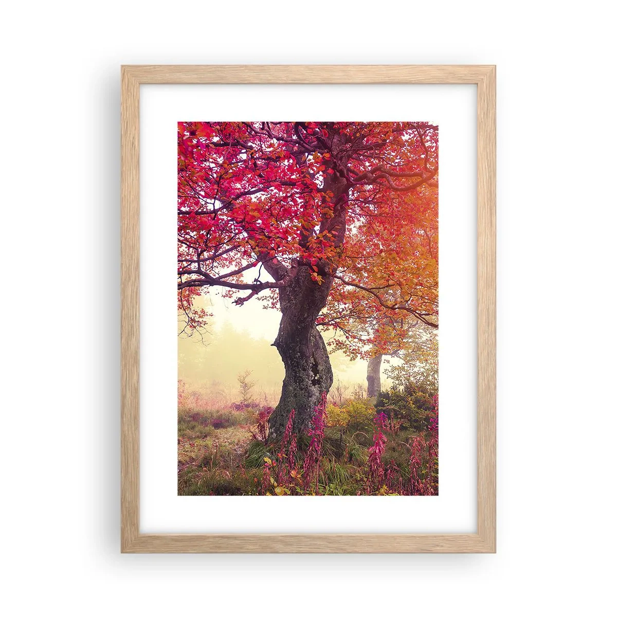 Plakat w ramie jasny dąb - Szał rozkwitu - 30x40 cm