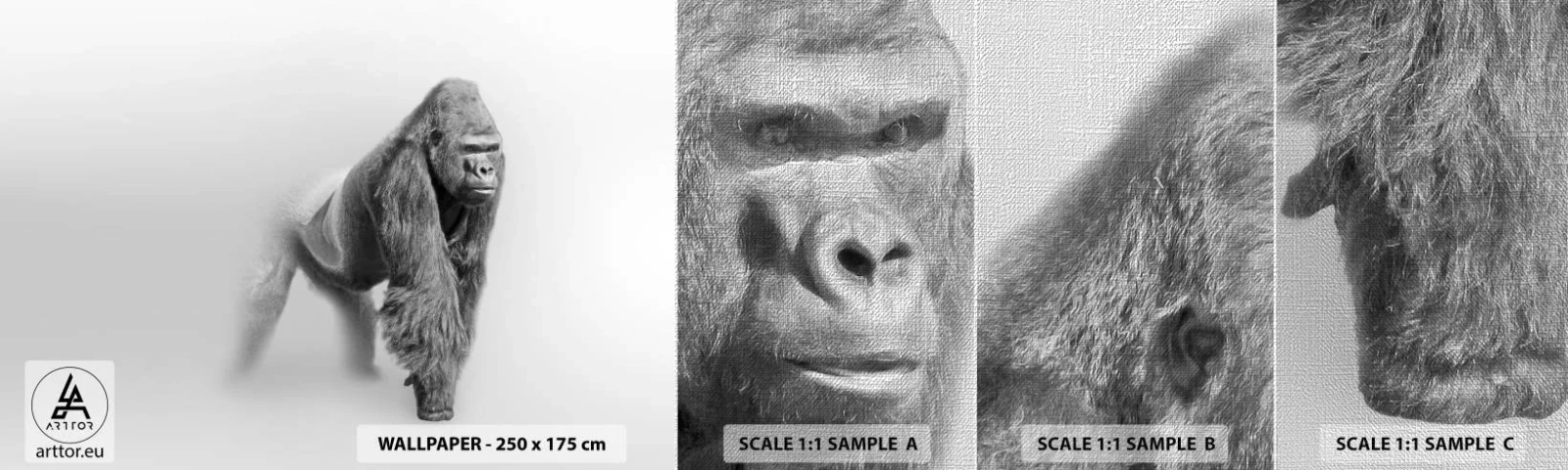 Fototapeta Próbka Premium Canvas - Pewny swej siły - Zwierzęta, Goryl, Małpa - 100x30 cm