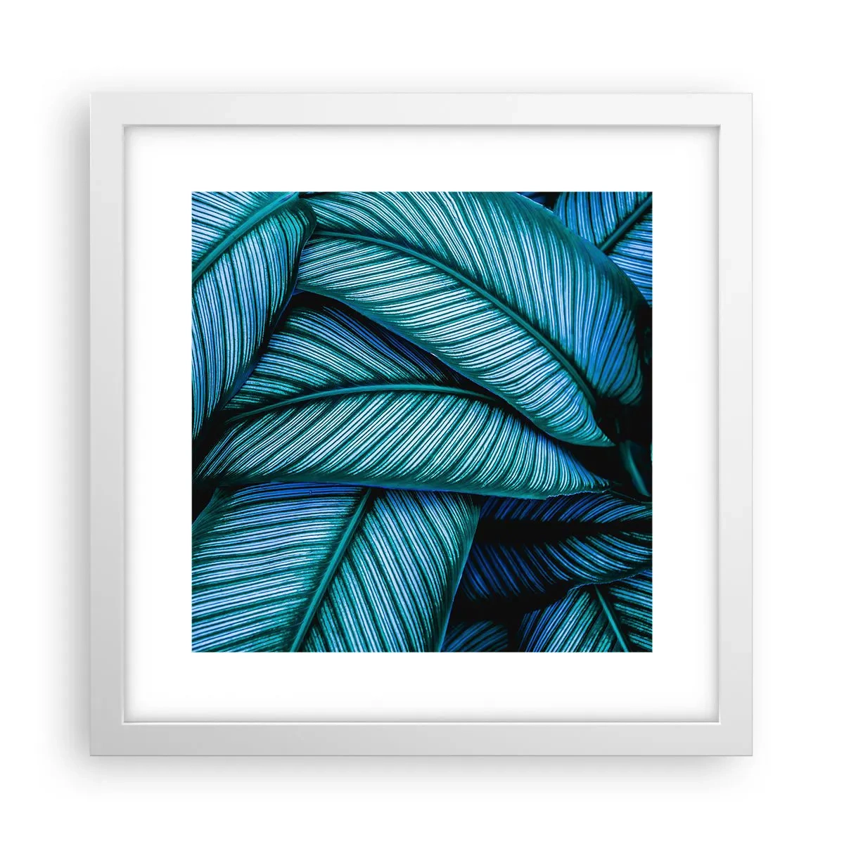 Plakat w białej ramie - Linie życia - 30x30 cm