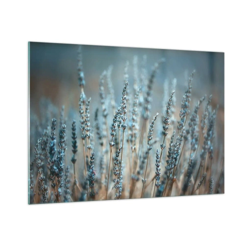 Obraz na szkle - Pole lawendy w delikatnym świetle o chłodnym odcieniu - 100x70cm - Pachnący łan - Nowoczesna dekoracja ścienna do salonu, kuchni i sypialni ARTTOR
