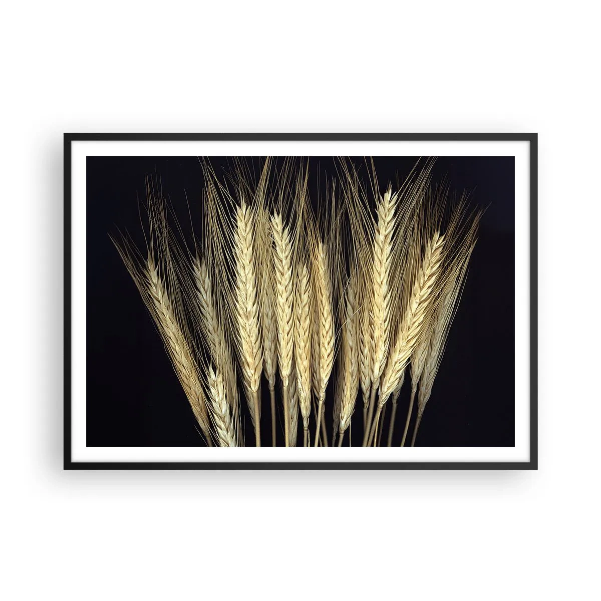 Plakat w czarnej ramie - Kłosy pszenicy na czarnym tle w rustykalnym stylu - 100x70cm - Rustykalna magia - Nowoczesna dekoracja ścienna do salonu i sypialni ARTTOR