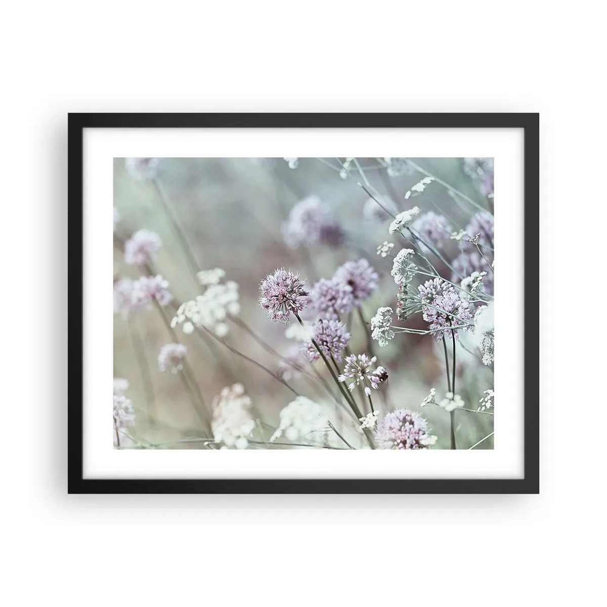 Plakat w czarnej ramie - Słodkie filigrany ziół - 50x40 cm