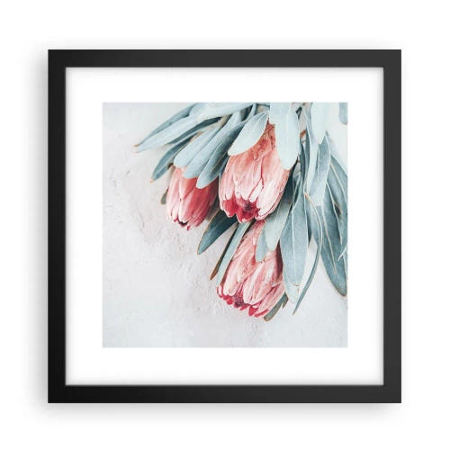 Plakat w czarnej ramie - Zawstydzone własną urodą - 30x30 cm