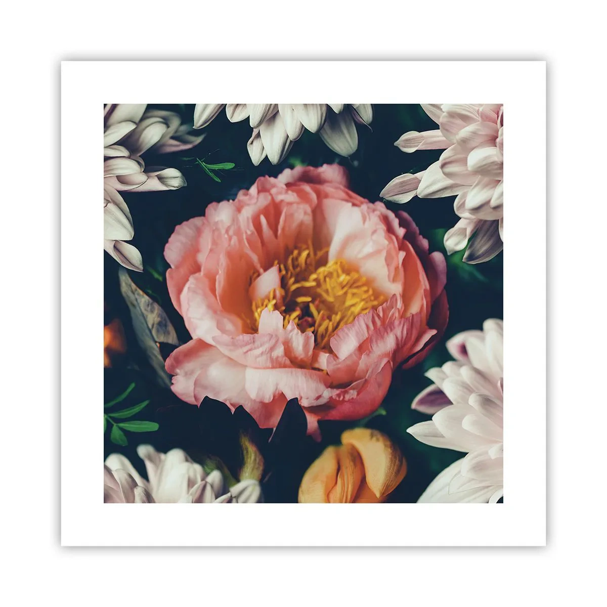 Plakat - Z barokowym przepychem - 40x40 cm