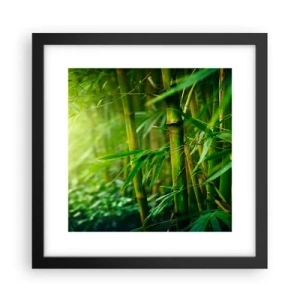 Plakat w czarnej ramie - Poznać zieleń samą w sobie - 30x30 cm